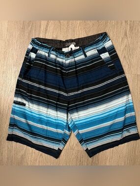 Da Hui Hybrid Collection Blue Striped Casual Shorts Size 36